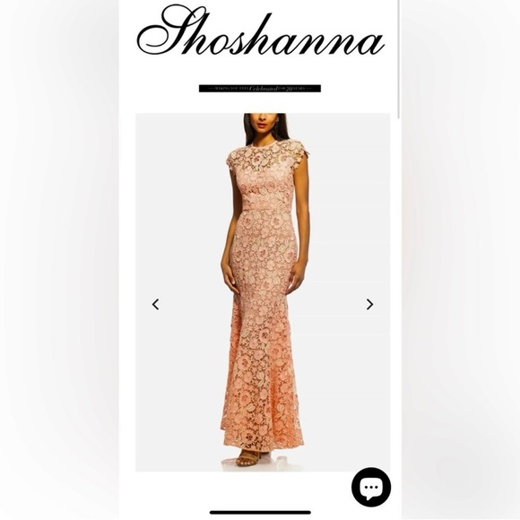 NWT Size 2 Shoshanna Carlotta Maxi Dress in Pink Retail $660 - Picture 3 of 13